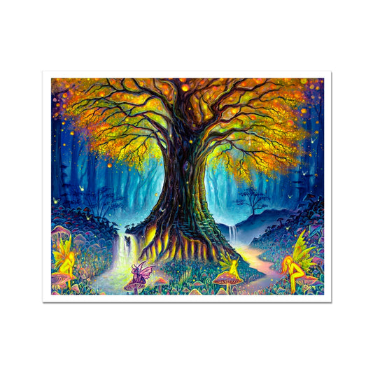 The Everglow Tree Fine Art Print