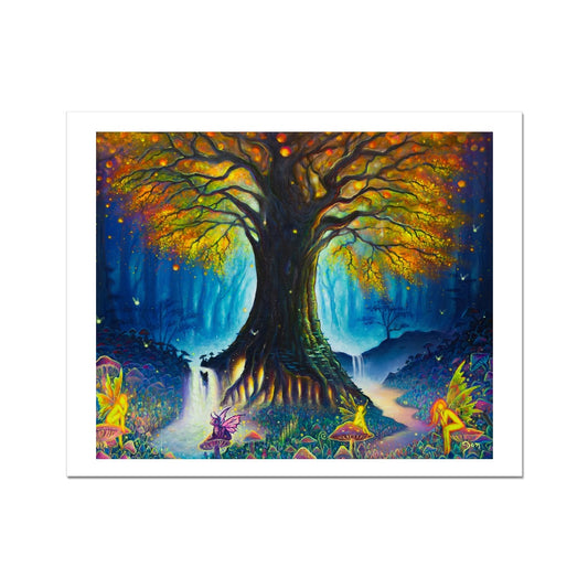 The Everglow Tree Fine Art Print